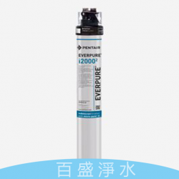 愛惠浦QL3-I20002(單管製冰機專用)淨水器